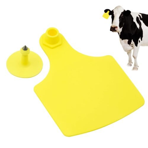 Visual Ear Tag Couple - F4 for Livestock modern cattle management, offering efficiency, traceability, and improved animal welfare